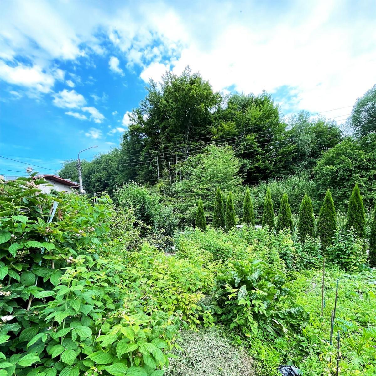 Zrodlana13 Apartamenty 마쿠프 포트할란스키 외부 사진